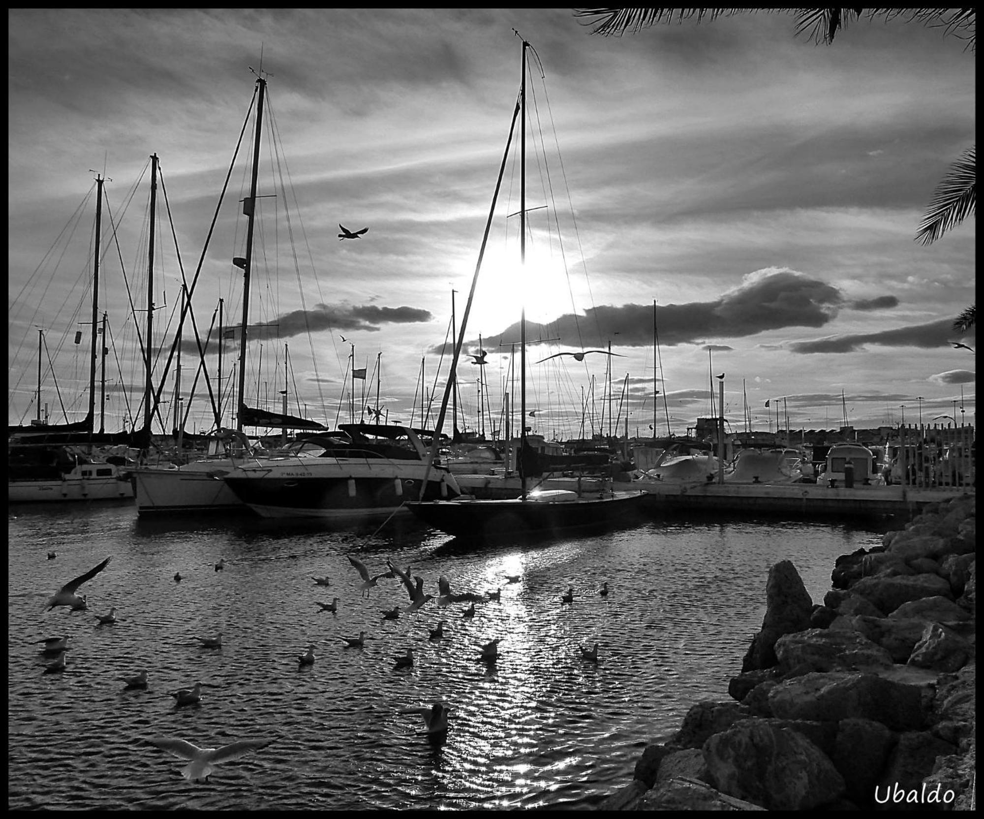 Villa Brisas Del Mar Caleta De Velez Esterno foto
